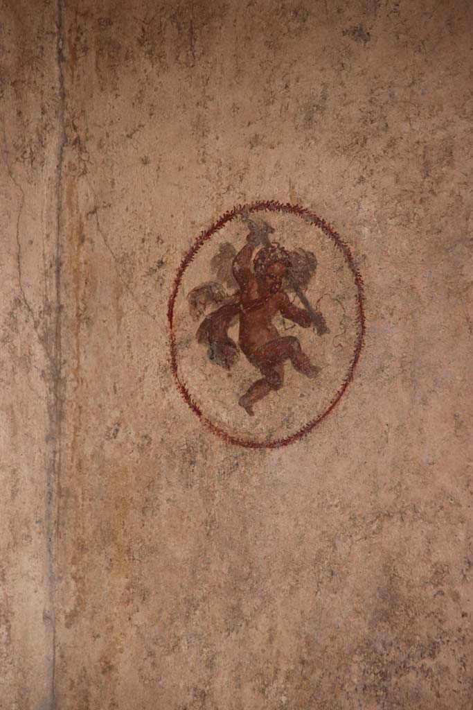 V.6.12 Pompeii. October 2020. Amb. 9. Medallion with Cupid, from east end of south wall of cubiculum.
Photo courtesy of Klaus Heese