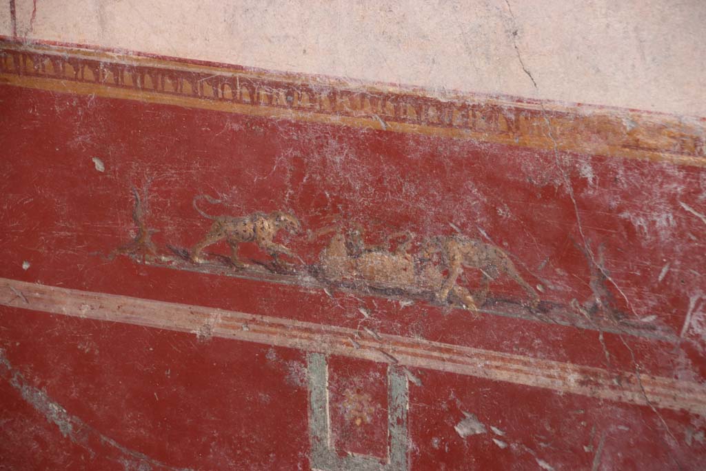 V.6.12 Pompeii. October 2020. Amb. 9. Painting of animal fight from predella in centre of red zoccolo/dado on south wall of cubiculum.
Photo courtesy of Klaus Heese.