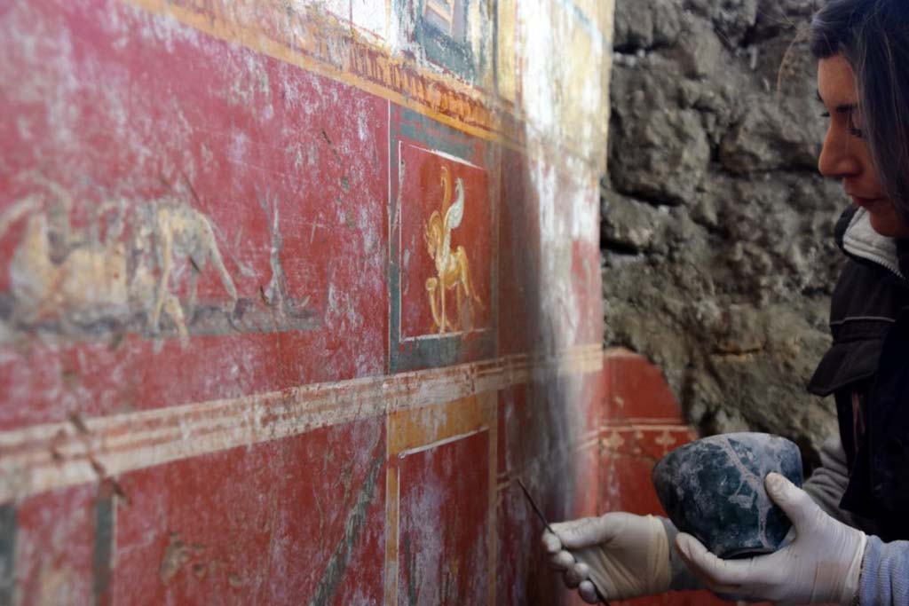 V.6.12 Pompeii. February 2019. Amb. 9. Lower wall of cubiculum with griffin with cornucopias and scene of animals in combat.
Parete inferiore di cubiculum con delicati ornamenti floreali, intervallati da grifoni con cornucopie, nature morte e scene di lotte tra animali.
Photograph © Parco Archeologico di Pompei.