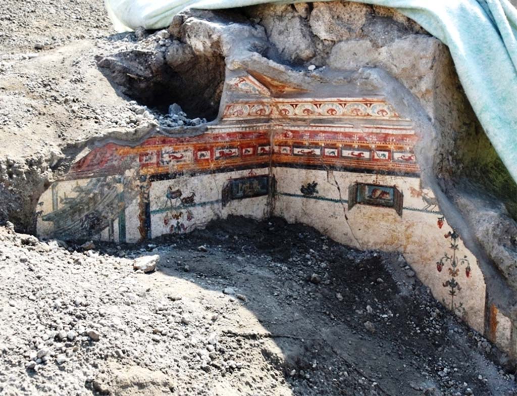 V.6.12 Pompeii. November 2018. Amb. 9. Cubiculum. Upper corner during excavation showing part of the ceiling.
The exquisite designs even extended to the ceiling, which completely collapsed under the weight of the lapilli, and whose fragments were recovered by restorers and used to reconstruct the story.
Cubiculum. Angolo superiore durante lo scavo che mostra parte del soffitto.
I disegni squisiti anche esteso al soffitto, rovinosamente crollato sotto il peso dei lapilli, i cui frammenti sono stati recuperati dai restauratori per ricomporne la trama.
Photograph © Parco Archeologico di Pompei.