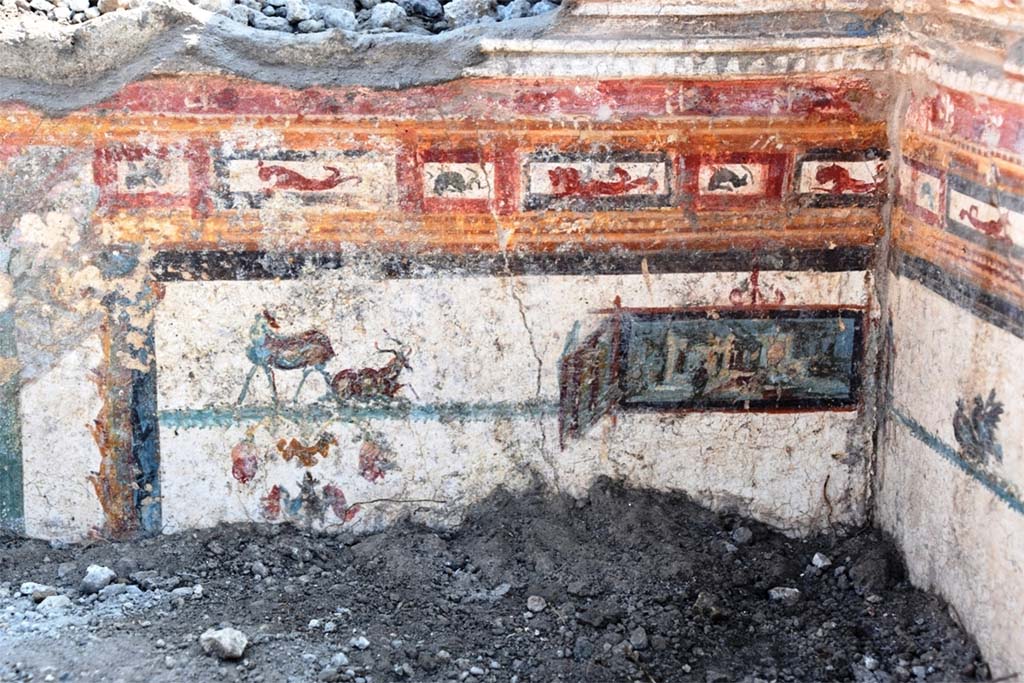 V.6.12 Pompeii. November 2018. Amb. 9. Cubiculum. Upper wall during excavation.
The upper border is decorated with small red and orange panels with sea creatures
Underneath are goats or deer and a small panel painted with a sacred landscape.
Cubiculum. Parete superiore durante gli scavi.
Il bordo superiore è decorato con piccoli pannelli rossi e arancioni con creature marine
Sotto ci sono capre o cervi e una piccola scena dipinta con un paesaggio sacro.
Photograph © Parco Archeologico di Pompei.