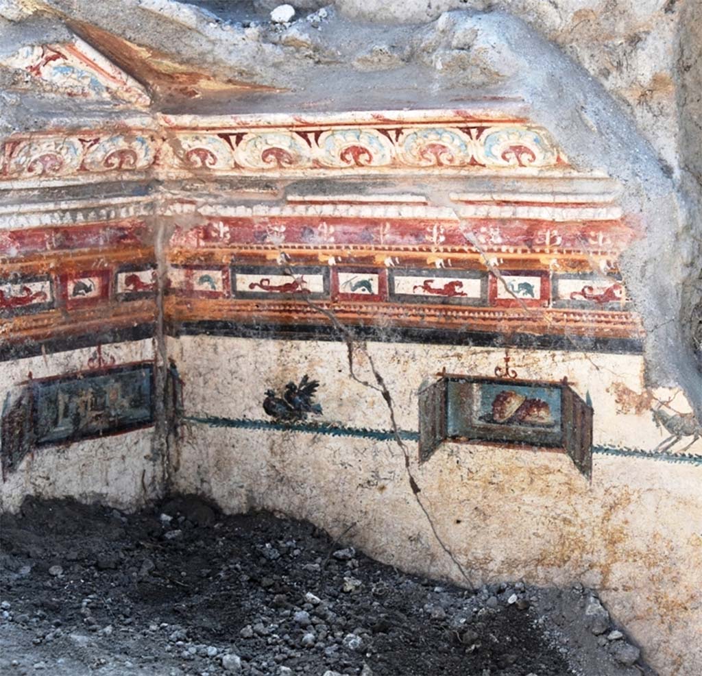 V.6.12 Pompeii. November 2018. Amb. 9. Cubiculum. Upper wall during excavation.
The upper border is decorated with small red and orange panels with sea creatures
Underneath are two birds, a goat and a small painted still life, bordered by doors.
Cubiculum. Parete superiore durante gli scavi.
Il bordo superiore è decorato con piccoli pannelli rossi e arancioni con creature marine
Sotto ci sono due uccelli, una capra e un piccolo dipinto natura morta, delimitata da porte.
Photograph © Parco Archeologico di Pompei.