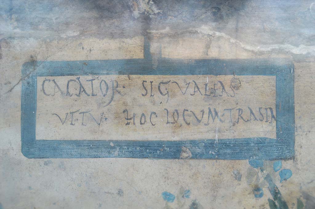 V.6.19 Pompeii. October 2017. 
In the top left-hand side of the painted lararium, CIL IV 6641 can be seen, written in the painted rectangle.
Foto Taylor Lauritsen, ERC Grant 681269 D�COR.

According to Della Corte, the unknown proprietor of the unexcavated house or workshop, had the warning added to the street shrine.
The wording, between good wishes and irony, was:
Cacator, sic valeas, ut tu hoc (sic) locum trasia(s)  (= transeas).    [CIL IV 6641]
See Della Corte, M., 1965. Case ed Abitanti di Pompei. Napoli: Fausto Fiorentino. (p.97)

According to Epigraphik-Datenbank Clauss/Slaby (See www.manfredclauss.de), it read:
Cacator, si<c=g> valeas
Ut tu hoc locum tra(n)sea(s)    [CIL IV 6641]

See also Spano, in Notizie degli Scavi di Antichit�, 1910, p.262.

