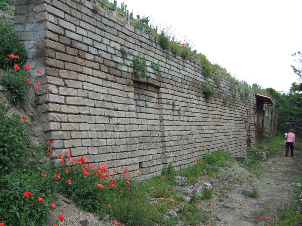V.7 Pompeii. May 2006. Blocked entrance? (2 and 3 must be behind this wall)