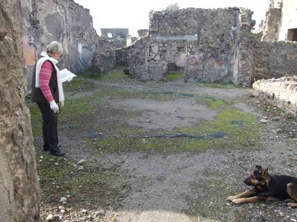 VI.1.7 House of the Vestals. Room 30. Secondary atrium.