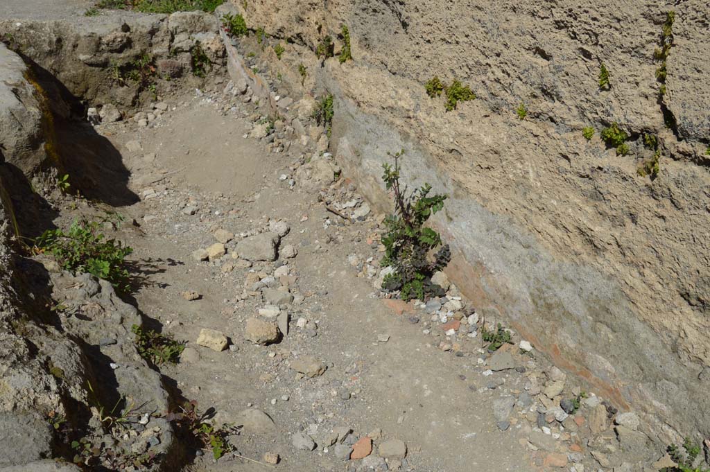 VI.1.10 Pompeii. March 2019. Detail of pavement and lower front façade wall.
Foto Taylor Lauritsen, ERC Grant 681269 DÉCOR.