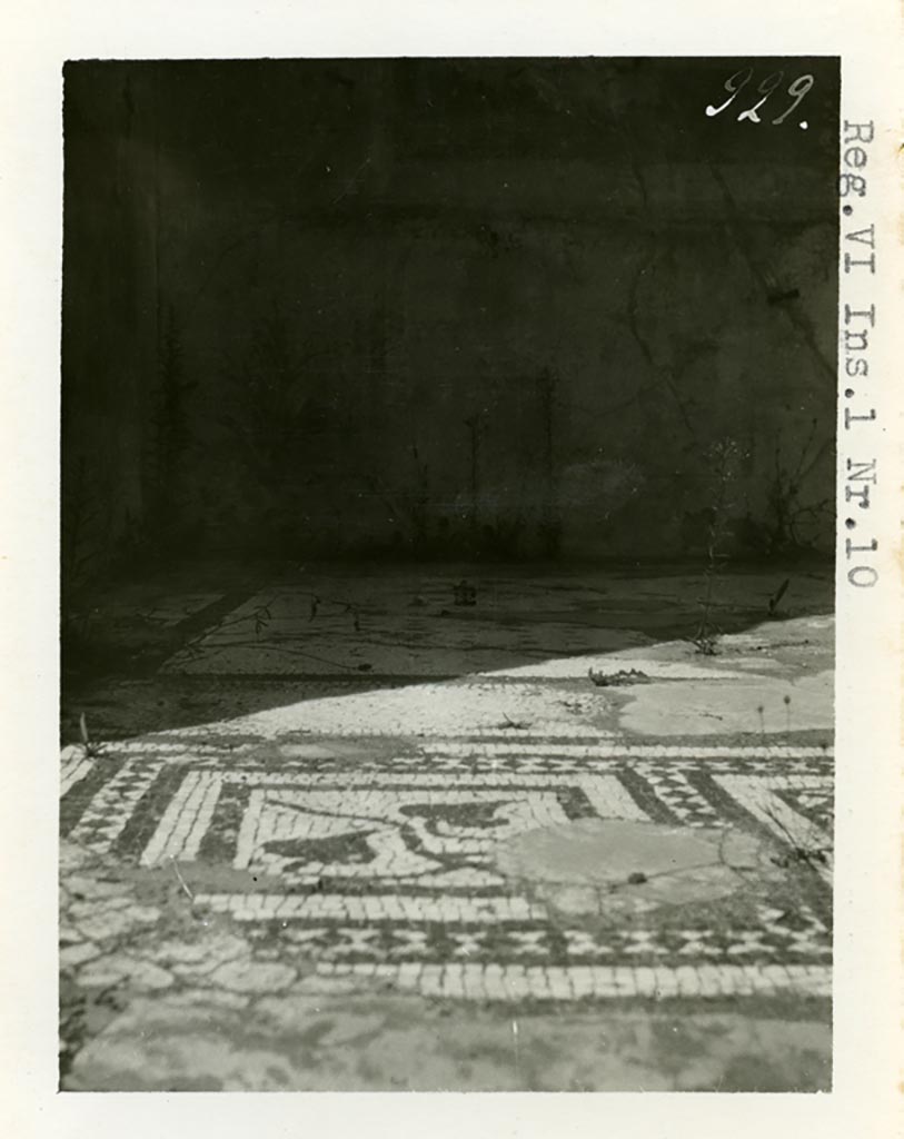 VI.1.10 Pompeii. Pre-1937-39. Room 4, looking north towards detail from mosaic floor in ala on north side of atrium.
Photo courtesy of American Academy in Rome, Photographic Archive. Warsher collection no. 929.