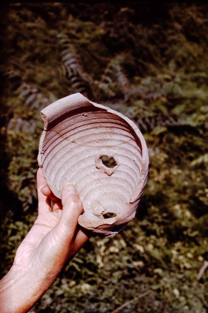 VI.2.4 Pompeii. 1970. Broken flower-pot found by Anne Laidlaw in the Bourbon fill during the 1969-71 excavations. Photo by Stanley A. Jashemski.
Source: The Wilhelmina and Stanley A. Jashemski archive in the University of Maryland Library, Special Collections (See collection page) and made available under the Creative Commons Attribution-Non Commercial License v.4. See Licence and use details.
J70f0600