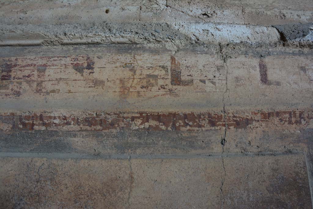 VI.2.4 Pompeii. March 2019. Detail of painted decoration from area above zoccolo in centre on north wall of oecus.
Foto Annette Haug, ERC Grant 681269 D�COR.


