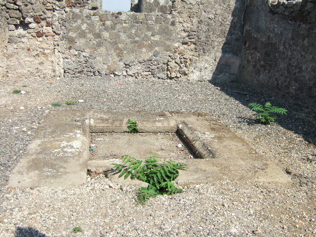 VI.2.11 Pompeii. September 2005. North wall of cubiculum.