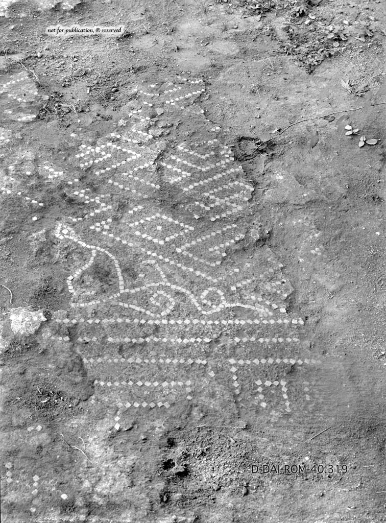 VI.2.13 Pompeii.c.1930. Flooring in tablinum.
DAIR 40.319. Photo © Deutsches Archäologisches Institut, Abteilung Rom, Arkiv.
See Pernice, E. 1938. Pavimente und Figürliche Mosaiken: Die Hellenistische Kunst in Pompeji, Band VI. Berlin: de Gruyter, (tav. 11.2, above.)
According to PPM,
Although poorly preserved, the flooring of the tablinum in cocciopesto showed a border of meanders and alternative squares and with a central emblema decorated with a diamond of meanders and plant stems in white tesserae.
See Carratelli, G. P., 1990-2003. Pompei: Pitture e Mosaici. 4. IV.Roma: Istituto della enciclopedia italiana, (p.163.)