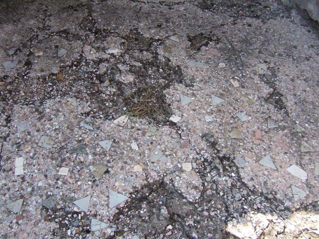 VI.2.22 Pompeii. September 2005.
Floor of cubiculum, in north-west corner of atrium, decorated with scattered tiles of coloured marble and limestone.