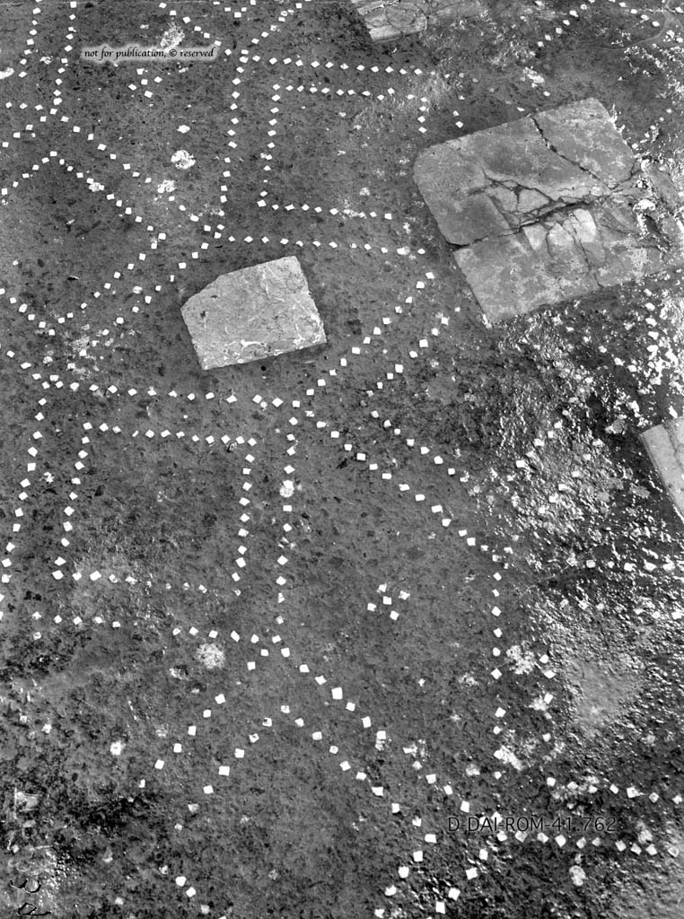 VI.5.3 Pompeii. c.1930. 
Room 20, the flooring shows the coloured marble tiles interrupting the decoration of white tesserae. 
DAIR 41.762. Photo � Deutsches Arch�ologisches Institut, Abteilung Rom, Arkiv.
See Pernice, E.  1938. Pavimente und Fig�rliche Mosaiken: Die Hellenistische Kunst in Pompeji, Band VI. Berlin: de Gruyter, (tav. 47,2 above.)
