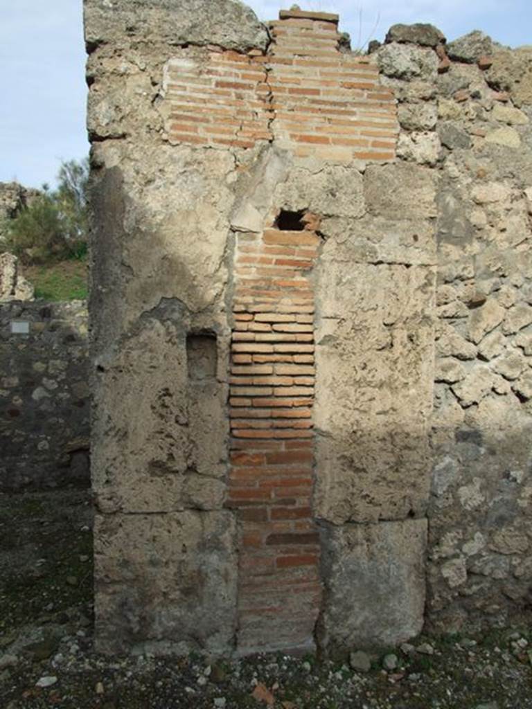 VI.5.3 Casa di Nettuno. Wall on the north side of the atrium. December 2007.
