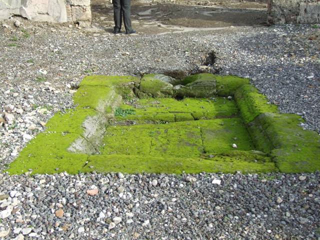 VI.5.5 Pompeii. December 2007. North portico, looking east.