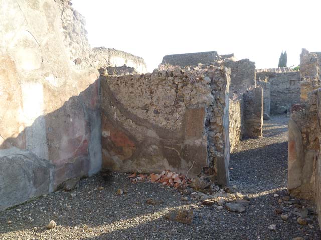 VI.5.10 Pompeii. December 2007. Room 16, south-east corner, with dog “Sheila” our faithful companion who followed us closely.