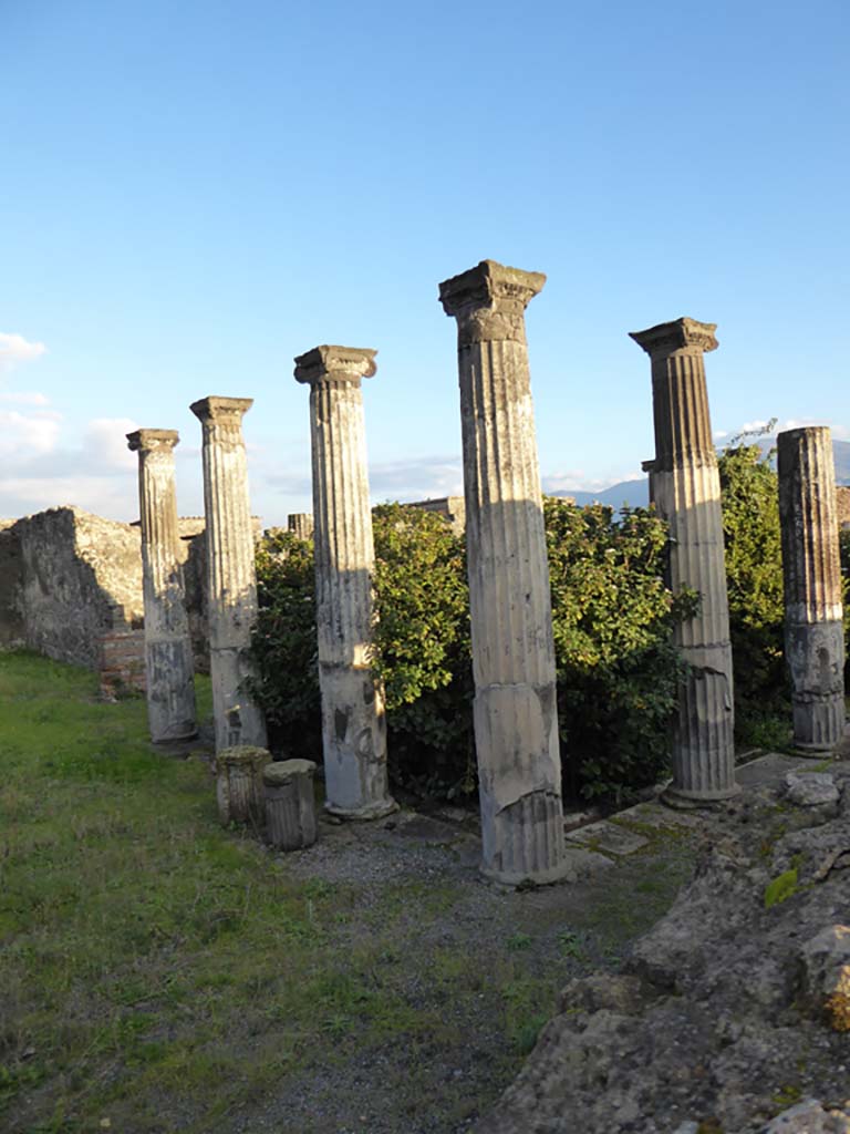 VI.6.1 Pompeii. January 2017. Looking south-east across north portico.
Foto Annette Haug, ERC Grant 681269 D�COR.
