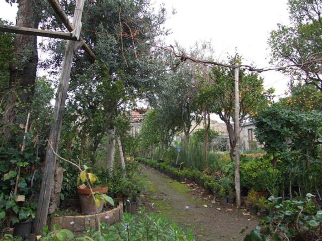 VI.6.1 Pompeii. December 2007. Looking north across kitchen garden from room 19, exedra. According to Jashemski, when excavated in 1827, the garden had a portico across its southern end. At the rear of the garden, on the right, there was a water reservoir and remains of lead fittings and pipes, probably used for watering the garden. See Jashemski, W. F., 1993. The Gardens of Pompeii, Volume II:  Appendices. New York: Caratzas. (p.128).
According to Garcia y Garcia, in the night of 14th-15th September 1943 at least three bombs fell on the area of this large garden. They destroyed two pilasters and four columns. In the north-east corner of the garden, there was also the partial destruction of a room with a large cistern, together with a corner of a room near the separate entrance at VI.6.12. Also damaged was the area to the south-east of the atrium and the annexed workshop. This damage was restored.
See Garcia y Garcia, L., 2006. Danni di guerra a Pompei. Rome: L�Erma di Bretschneider. (p.75)
