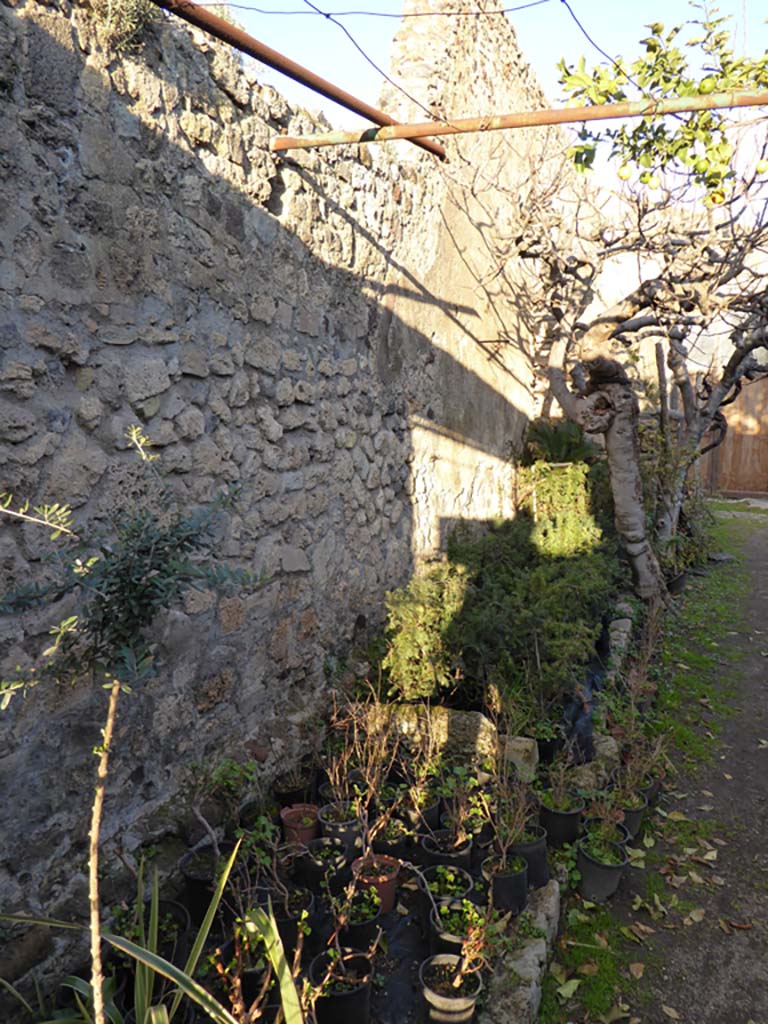 VI.6.12 Pompeii. January 2017. Looking east along interior of north wall.
Foto Annette Haug, ERC Grant 681269 D�COR.

