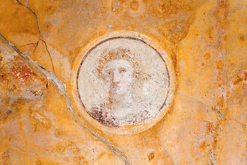 VI.7.23 Pompeii. July 2021.
Looking towards medallion with face from west end of north wall of tablinum. Photo courtesy of Johannes Eber.