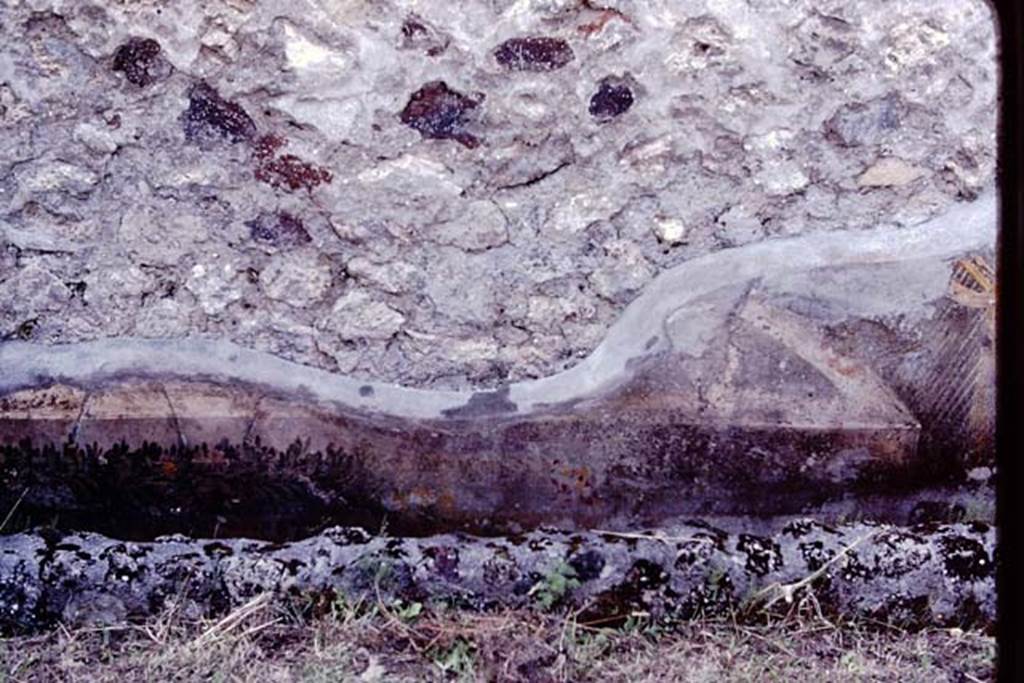 VI.7.23 Pompeii, 1983. Remains of painted trellis and flower garland from south wall of courtyard, behind fountain.
Source: The Wilhelmina and Stanley A. Jashemski archive in the University of Maryland Library, Special Collections (See collection page) and made available under the Creative Commons Attribution-Non Commercial License v.4. See Licence and use details. J80f0549