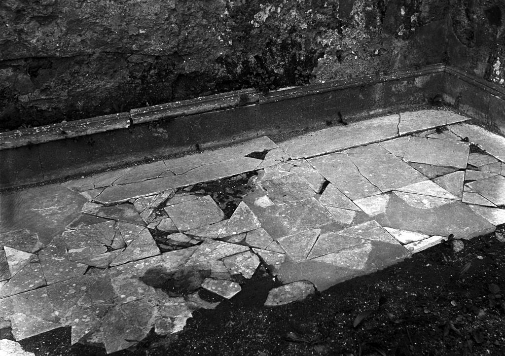 VI.7.23 Pompeii. W.1181.
North-east corner of opus sectile flooring, with pieces of square and triangular marble. The plinth was faced with rectangular slabs of marble.
Photo by Tatiana Warscher. Photo © Deutsches Archäologisches Institut, Abteilung Rom, Arkiv.