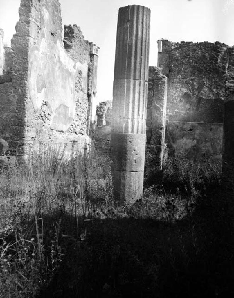 230782 Bestand-D-DAI-ROM-W.1263.jpg
VI.7.25 Pompeii. W.1263. Looking east across atrium to entrance doorway from Via Mercurio.
Photo by Tatiana Warscher. With kind permission of DAI Rome, whose copyright it remains.
See http://arachne.uni-koeln.de/item/marbilderbestand/230782