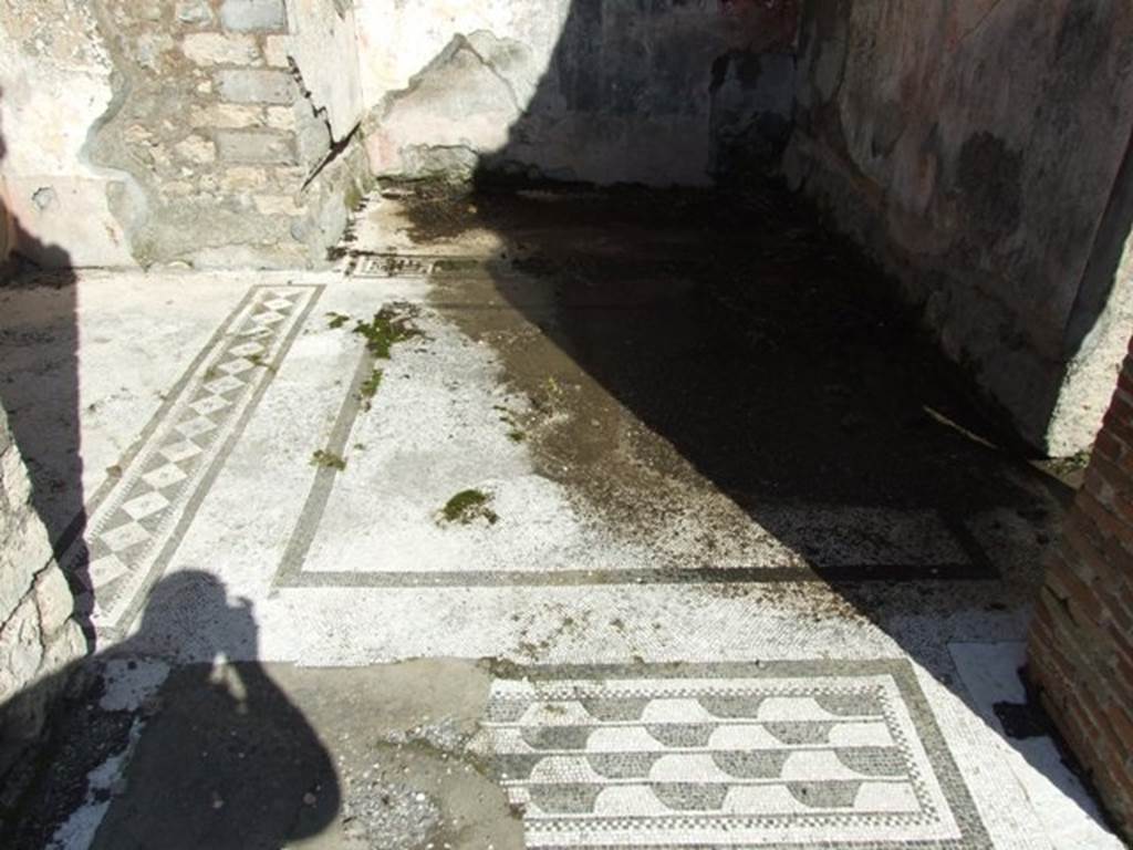 VI.8.20 Pompeii. March 2009. Room 5. Mosaic floor.