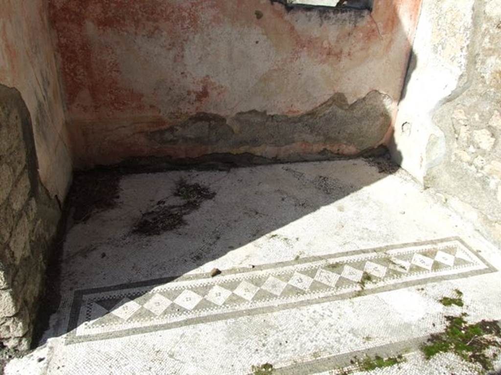 VI.8.20 Pompeii. March 2009. Room 5. North wall with painted plaster and floor mosaic.