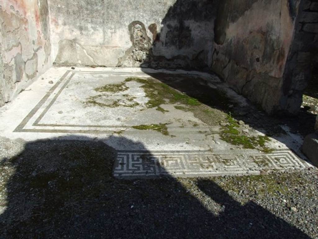 VI.8.20 Pompeii. March 2009. Room 6. Mosaic floor.