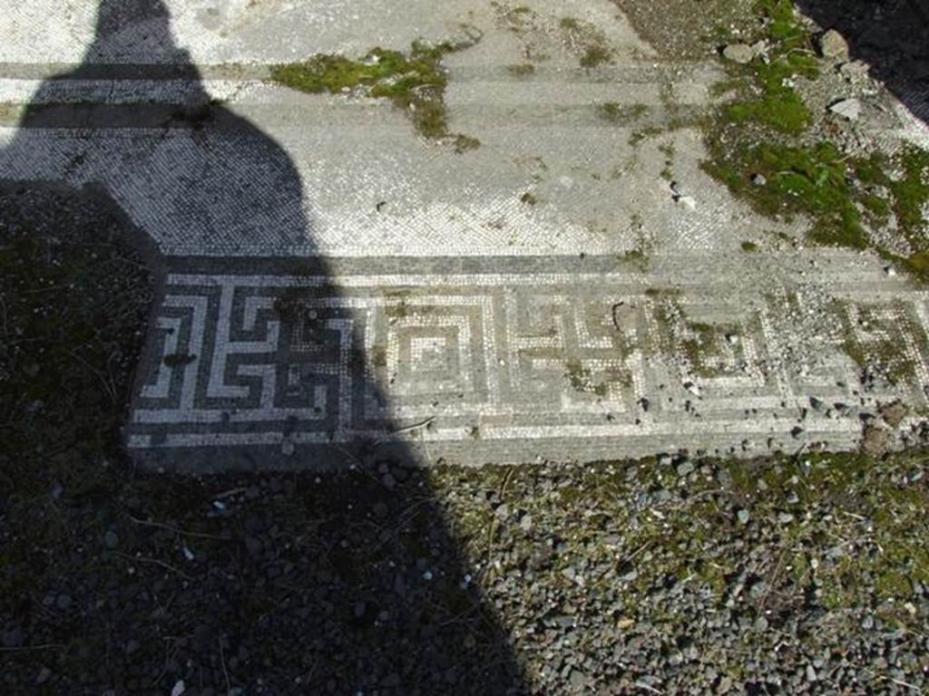 VI.8.20 Pompeii. March 2009. Room 6. Detail of mosaic floor.