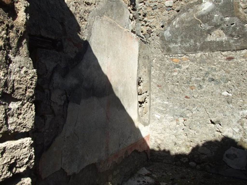 VI.8.20 Pompeii. March 2009. Room 7. North wall.