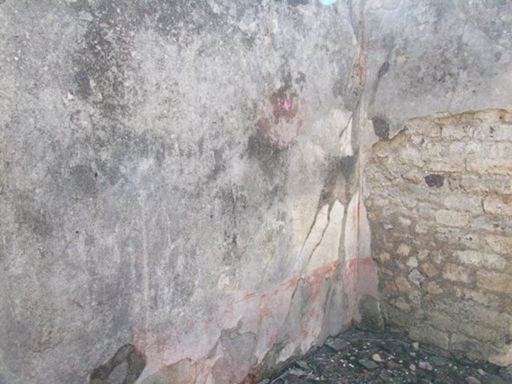 VI.8.20 Pompeii. March 2009. Room 7. South wall and south west corner.