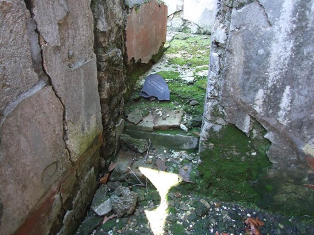 VI.8.20 Pompeii. March 2009. Room 12. Looking east along steps between room 12 and room 10.