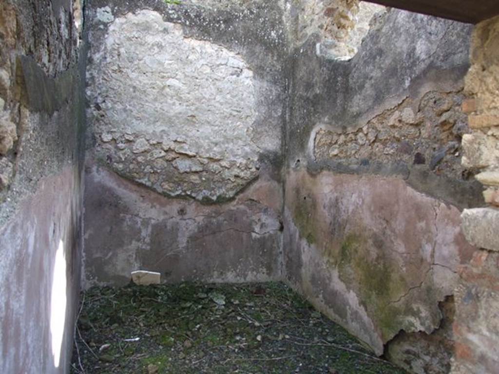 VI.8.20 Pompeii. March 2009. Room 15. South wall.