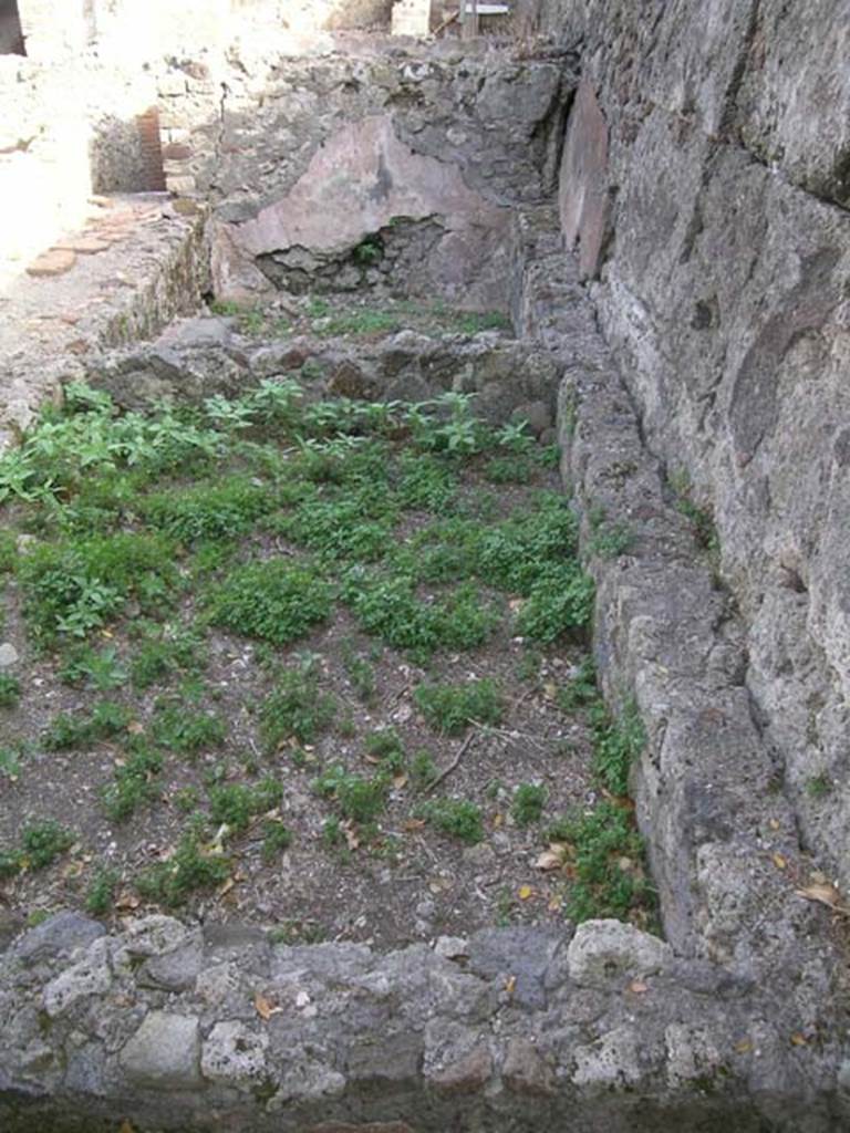 VI.8.20 Pompeii. June 2005. Other vats on west side of peristyle. Looking south. Photo courtesy of Nicolas Monteix.