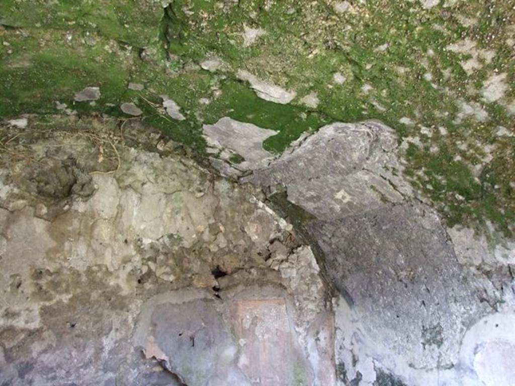 VI.8.20 Pompeii. March 2009. Room 19. North east corner, upper vaulted area.