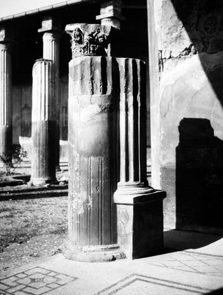 231446 Bestand-D-DAI-ROM-W.417.jpg
VI.9.2 Pompeii. W.417. Room 24, north-west corner.
Photo by Tatiana Warscher. With kind permission of DAI Rome, whose copyright it remains.
See http://arachne.uni-koeln.de/item/marbilderbestand/231446