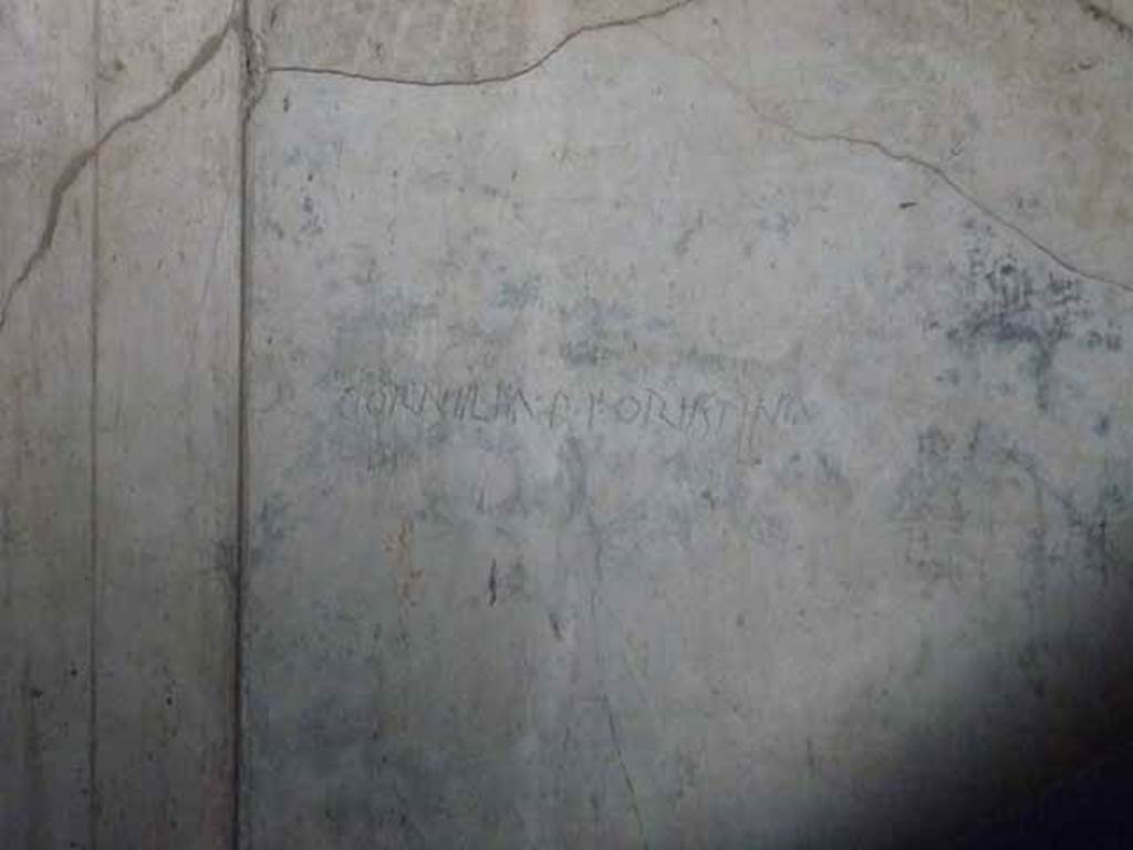 VI.9.3 Pompeii. October 2010. West wall of cubiculum 3, on south side of entrance doorway decorated in the first style. Latin inscription CORNIILIA P F ORIISTINA on first style decoration. Photo courtesy of Gabriele Gro�e.