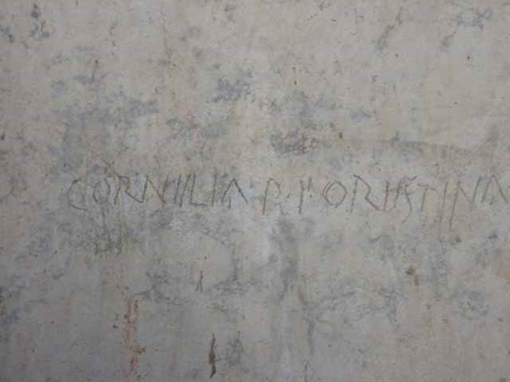 VI.9.3 Pompeii. October 2010. West wall of cubiculum 3,  on south side of entrance doorway decorated in the first style. Photo courtesy of Gabriele Gro�e.

Detail of Latin inscription CORNIILIA P F ORIISTINA.
According to Epigraphik-Datenbank Clauss/Slaby, the inscription reads as -

Cornelia  P(ubli)  f(ilia)  Orestina     [CIL IV 6812]

See www.manfredclauss.de. 
See also Della Corte, M., 1965.  Case ed Abitanti di Pompei. Napoli: Fausto Fiorentino. (p.48-50)

Livia Orestilla or Cornelia Orestina was a Roman Empress as the second wife of the Emperor Caligula in AD 37 or AD 38 . 
She was originally married to Gaius Calpurnius Piso (who was involved in a conspiracy overthrow the Emperor Nero in AD 65), who was persuaded or forced to annul the marriage so that Caligula could marry her. 
According to both Dio and Suetonius, this occurred during the wedding celebrations. 

According to Suetonius, at the marriage of Livia Orestilla to Gaius Piso, Caligula attended the ceremony himself, gave orders that the bride be taken to his own house, and within a few days divorced her; two years later he banished her, because of a suspicion that in the meantime she had gone back to her former husband. Suetonius continues that others write that being invited to the wedding banquet, Caligula sent word to Piso, who reclined opposite to him: "Don't take liberties with my wife," and at once carried her off with him from the table, the next day issuing a proclamation that he had got himself a wife in the manner of Romulus and Augustus, who had both stolen wives from other men. 
See Suetonius, The Lives of the Caesars, (p. 443) The Life of Caligula at http://penelope.uchicago.edu/Thayer/E/Roman/Texts/Suetonius/12Caesars/Caligula*.html.

According to Cassius Dio, Caligula married Cornelia Orestina, whom he had actually seized during the marriage festival which she was celebrating with her betrothed, Gaius Calpurnius Piso. Before two months had elapsed he banished them both, claiming that they were maintaining illicit relation with each other. 8 He permitted Piso to take with him ten slaves, and then, when he asked for more, allowed him to employ as many as he liked, merely remarking, "You will have just so many soldiers, too, with you." See Cassius Dio, Roman History, Book LIX (p. 287) at http://penelope.uchicago.edu/Thayer/E/Roman/Texts/Cassius_Dio/59*.html.
