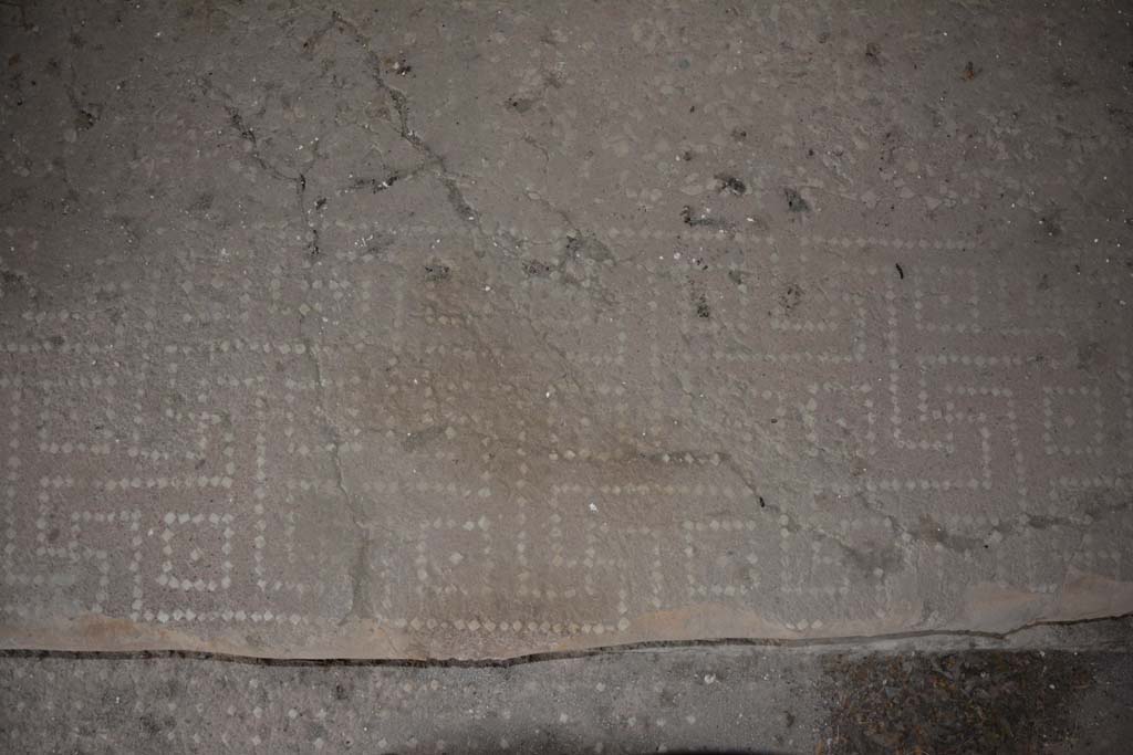 VI.9.3/5 Pompeii. September 2019. Alcove in cubiculum 3, detail of floor decoration on step between alcove and cubiculum.
Foto Annette Haug, ERC Grant 681269 D�COR.
