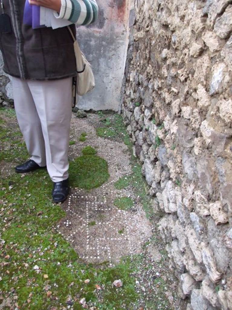VI.10.2 Pompeii. March 2009. Cubiculum on south side of entrance. Remains of floor pattern.