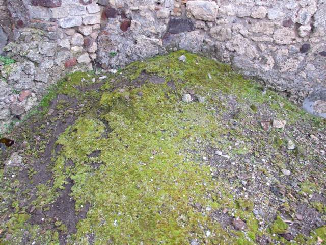 VI.10.4 Pompeii. March 2009. Patterned floor on south side of atrium.