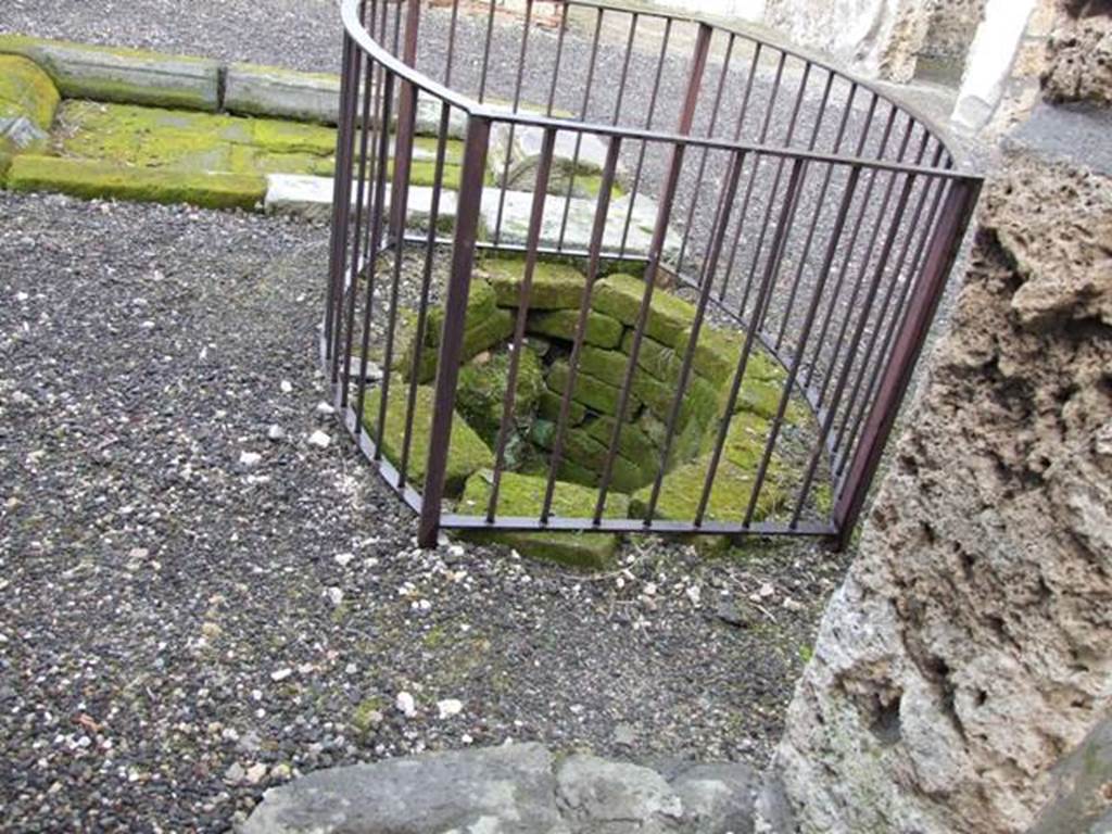 VI.10.6 Pompeii. March 2009. Room 1. Well in atrium.