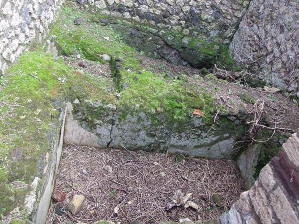 VI.10.6 Pompeii. March 2009. Room 11. Basin.