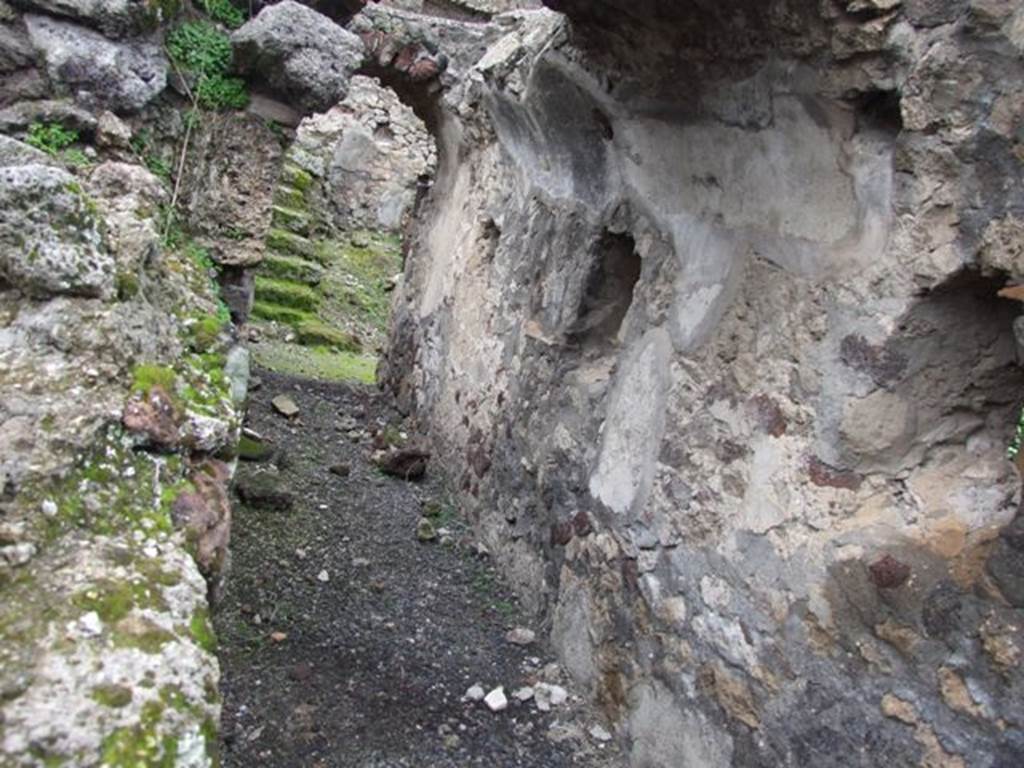 VI.10.7 Pompeii. March 2009. Room 15. Garden area. South side. Corridor at rear of fountains looking west.