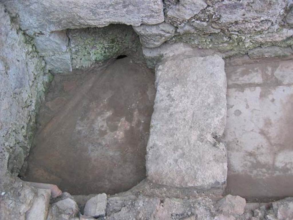 VI.11.6 Pompeii. July 2008. Looking west at latrine, and drain through wall onto vicolo.
Photo courtesy of Barry Hobson.