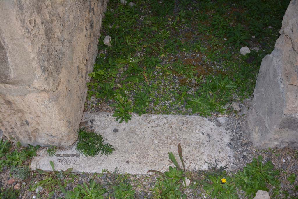 VI.11.9 Pompeii. October 2017. Room 8, threshold of doorway.
Foto Annette Haug, ERC Grant 681269 D�COR

