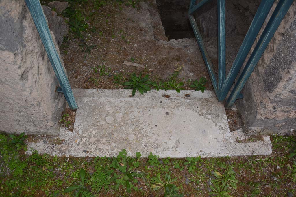 VI.11.9 Pompeii. October 2017. Room 2, doorway threshold. 
Foto Annette Haug, ERC Grant 681269 D�COR


