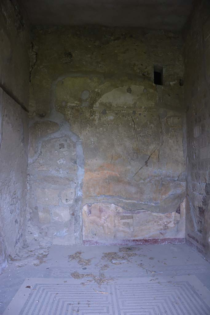 VI.11.10 Pompeii. December 2017. Room 42, looking towards north wall.
Foto Annette Haug, ERC Grant 681269 D�COR
